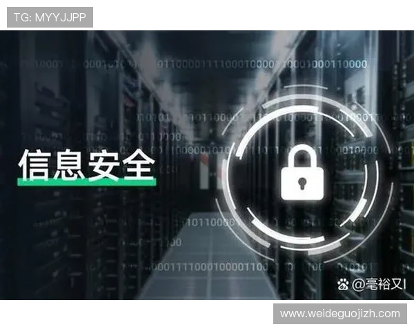 半岛在线登录安全性提升措施保护玩家账号信息安全的实用技巧