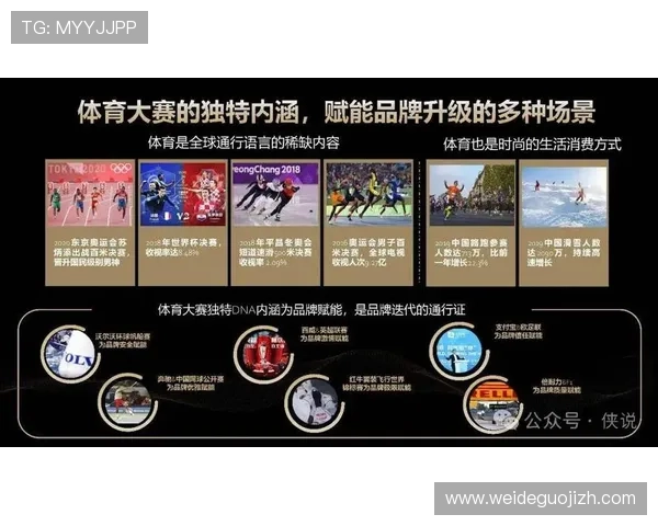 7m体育灵犀智算在体育营销与广告投放中的创新应用与效果分析